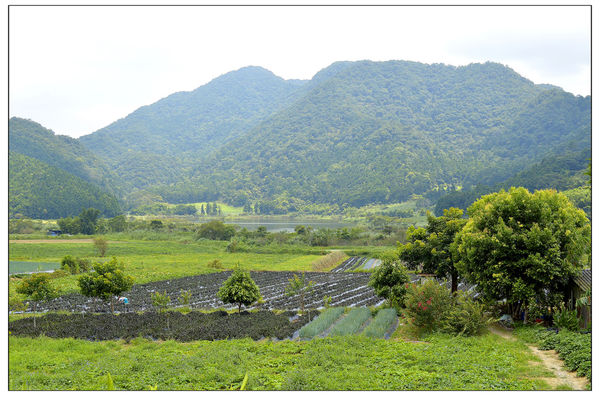 _DSC3569.JPG _DSC3569.JPG