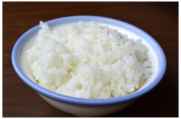 _DSC3399.JPG _DSC3399.JPG