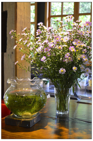 _DSC3532.JPG _DSC3532.JPG