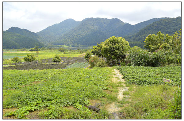 _DSC3571.JPG _DSC3571.JPG