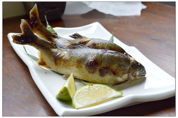 _DSC3460.JPG _DSC3460.JPG