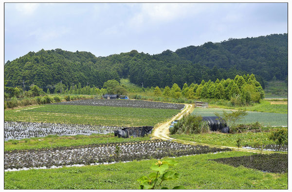 _DSC3589-6.jpg _DSC3589-6.jpg