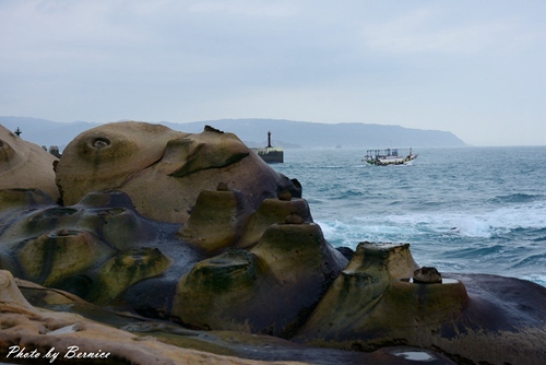 1112 5-野柳地質公園17.jpg