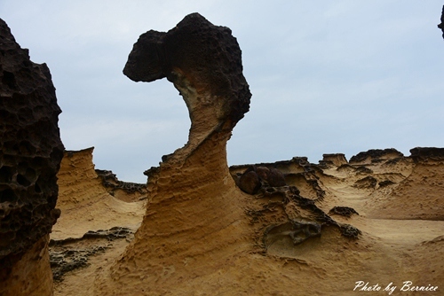 1112 5-野柳地質公園13.jpg