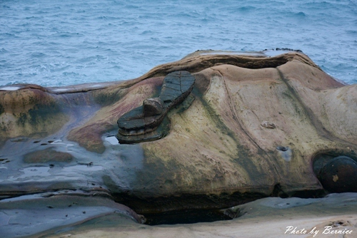 1112 5-野柳地質公園10.jpg