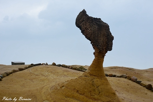 1112 5-野柳地質公園09.jpg