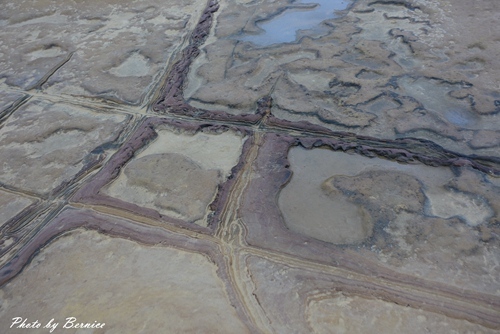 1112 5-野柳地質公園16.jpg