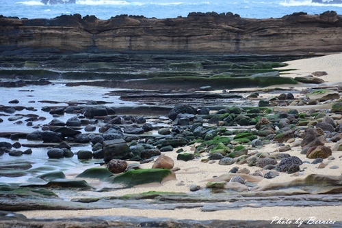 1112 5-野柳地質公園08.jpg