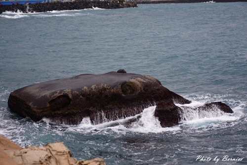 1112 5-野柳地質公園11.jpg