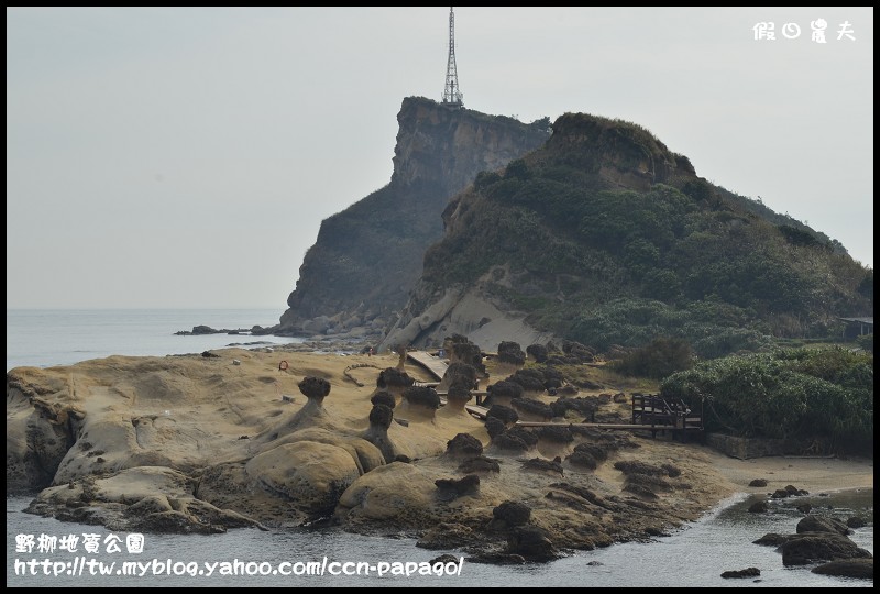 野柳地質å 野柳地質公園_DSC3724