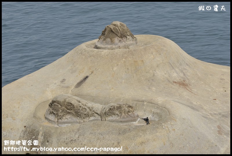 野柳地質å 野柳地質公園_DSC3773