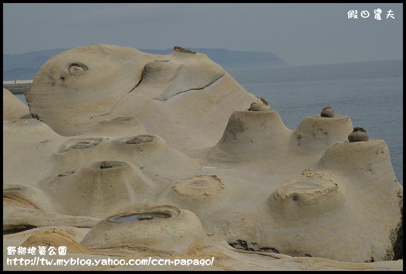 野柳地質å 野柳地質公園_DSC3837