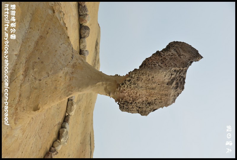 野柳地質å 野柳地質公園_DSC3754