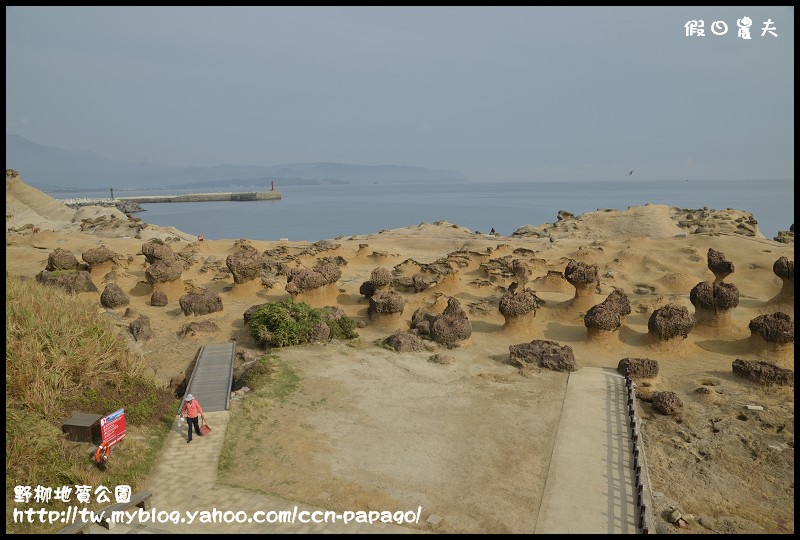 野柳地質å 野柳地質公園_DSC3721