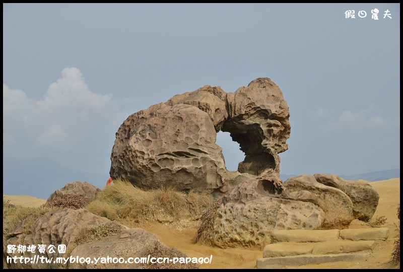野柳地質å 野柳地質公園_DSC3780