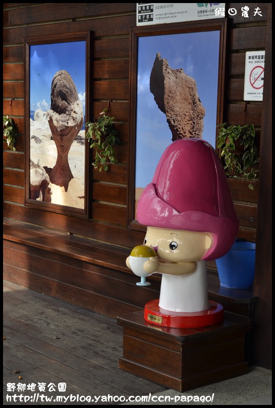 野柳地質å 野柳地質公園_DSC3707