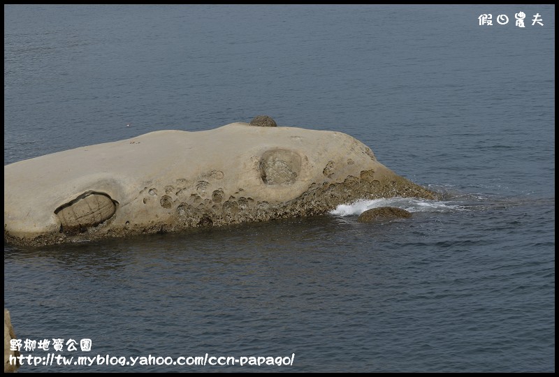 野柳地質å 野柳地質公園_DSC3775