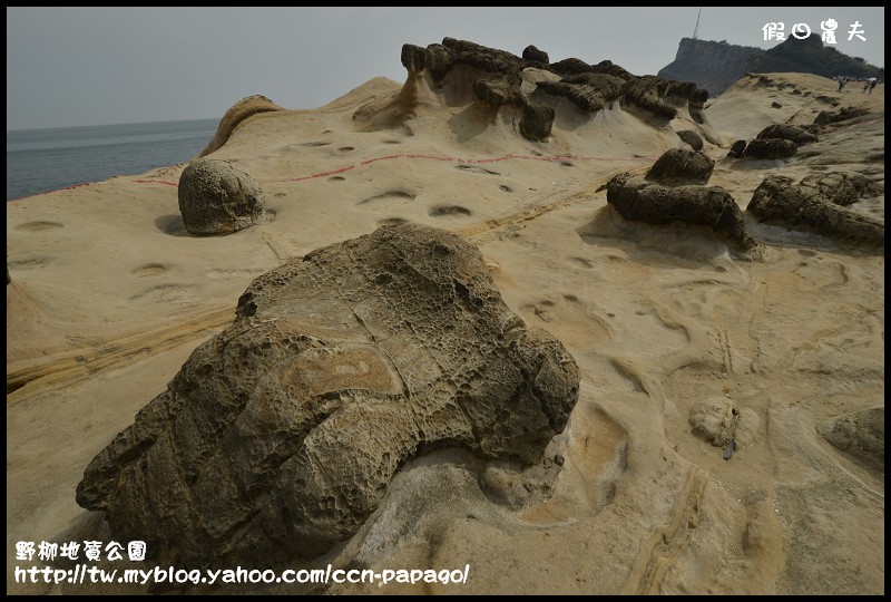 野柳地質å 野柳地質公園_DSC3831