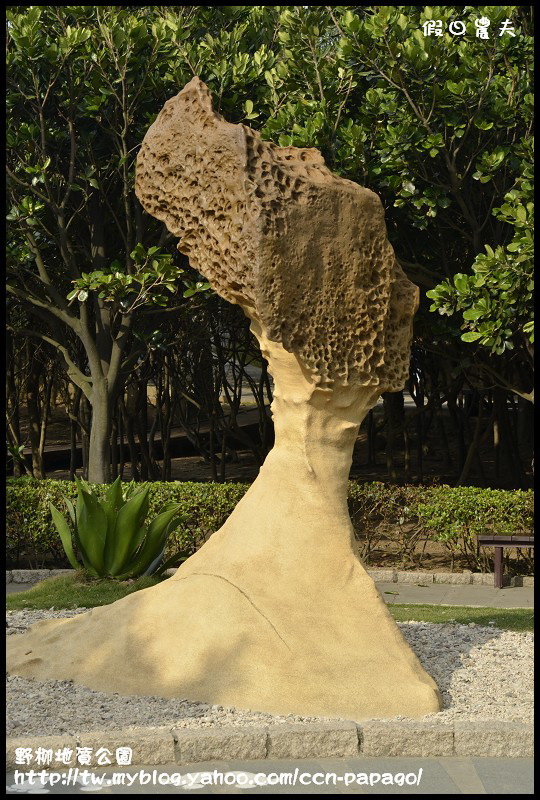 野柳地質å 野柳地質公園_DSC3719