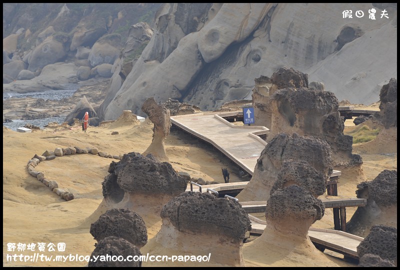 野柳地質å 野柳地質公園_DSC3726