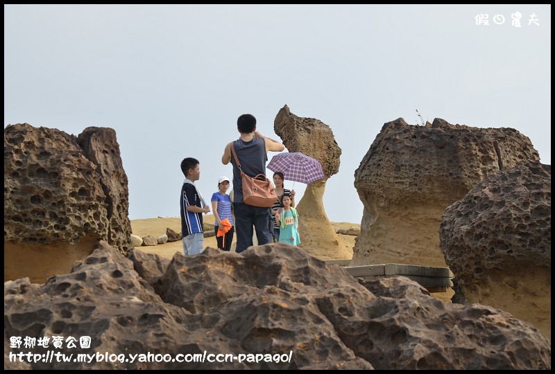 野柳地質å 野柳地質公園_DSC3747