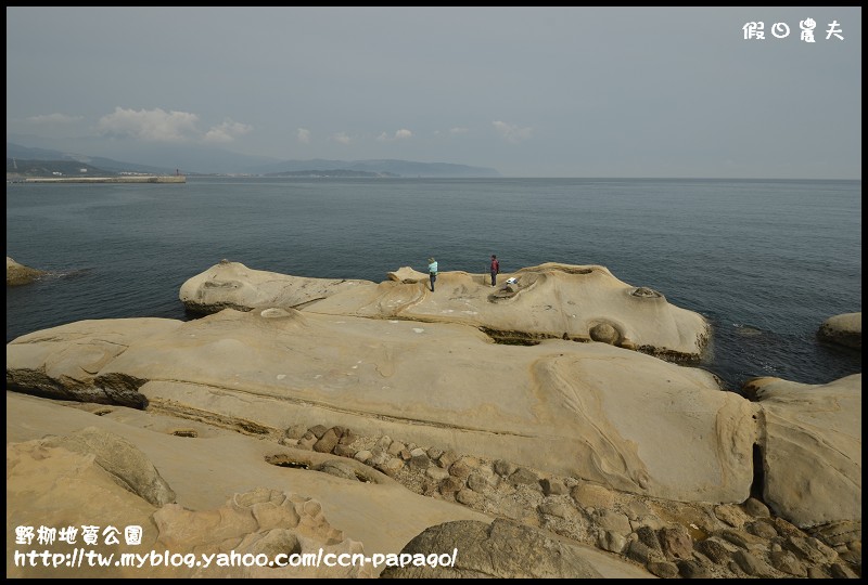野柳地質å 野柳地質公園_DSC3770