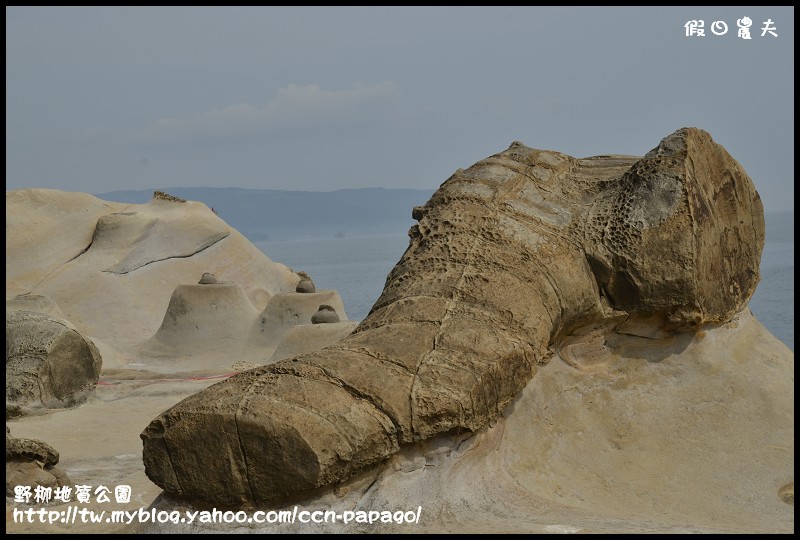 野柳地質å 野柳地質公園_DSC3841