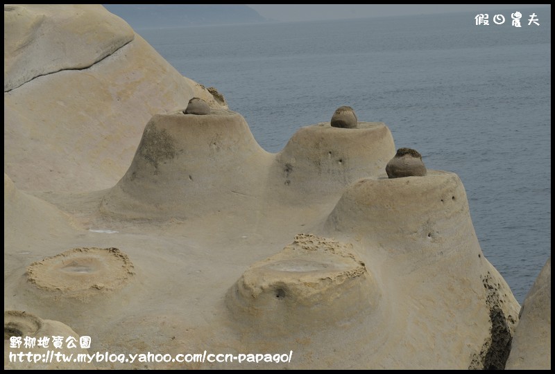 野柳地質å 野柳地質公園_DSC3835