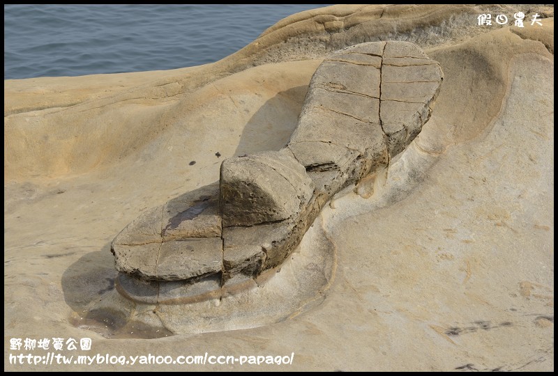 野柳地質å 野柳地質公園_DSC3778