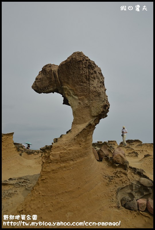 野柳地質å 野柳地質公園_DSC3808