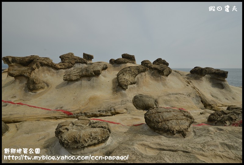 野柳地質å 野柳地質公園_DSC3828