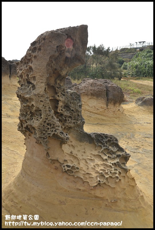 野柳地質å 野柳地質公園_DSC3759
