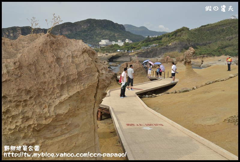 野柳地質å 野柳地質公園_DSC3760