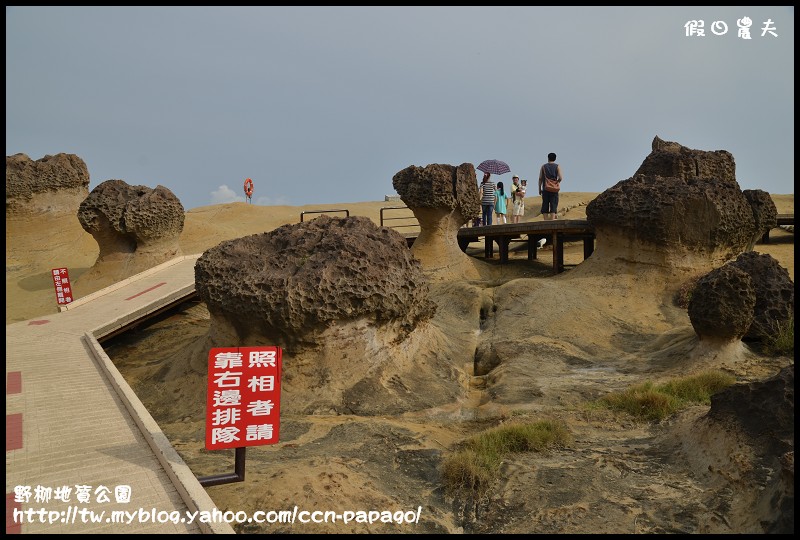 野柳地質å 野柳地質公園_DSC3744
