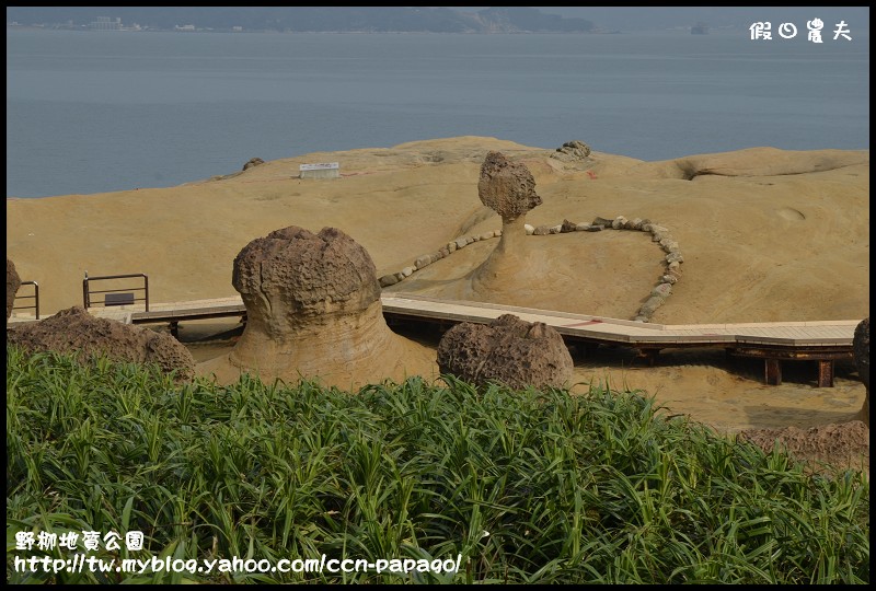 野柳地質å 野柳地質公園_DSC3737