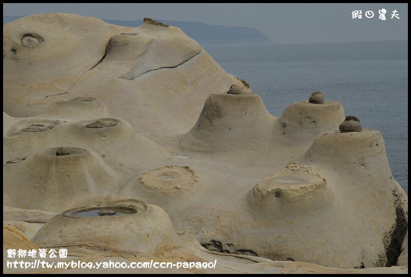 野柳地質å 野柳地質公園_DSC3834