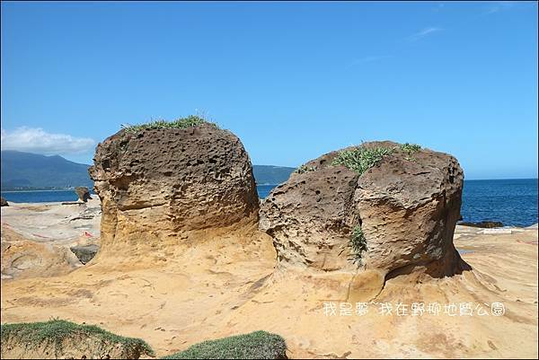 野柳地質公園28.jpg