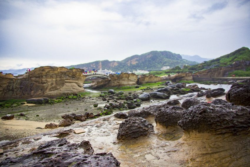 【玩樂．新北】北海岸必遊景點／野柳地質景觀公園～壯觀奇岩林立，女王頭必拍