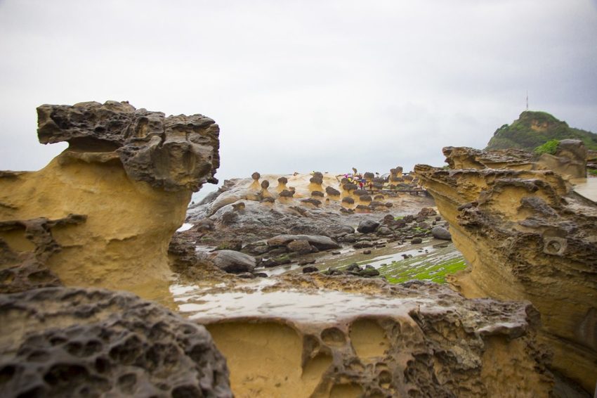 【玩樂．新北】北海岸必遊景點／野柳地質景觀公園～壯觀奇岩林立，女王頭必拍