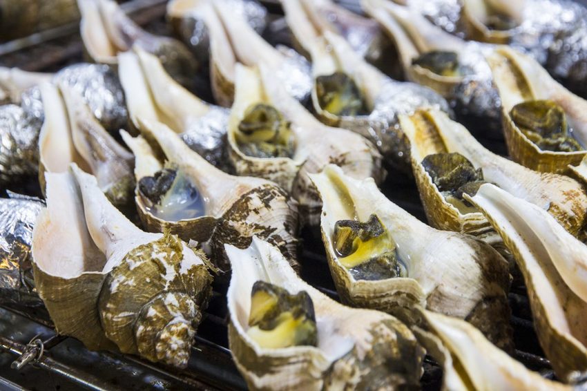 【玩樂．新北】北海岸必遊景點／野柳地質景觀公園～壯觀奇岩林立，女王頭必拍