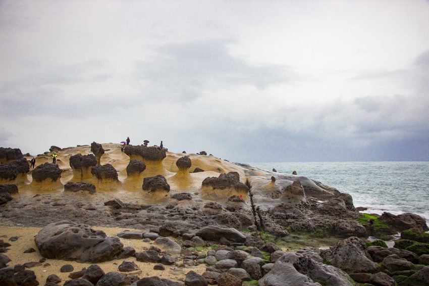 【玩樂．新北】北海岸必遊景點／野柳地質景觀公園～壯觀奇岩林立，女王頭必拍