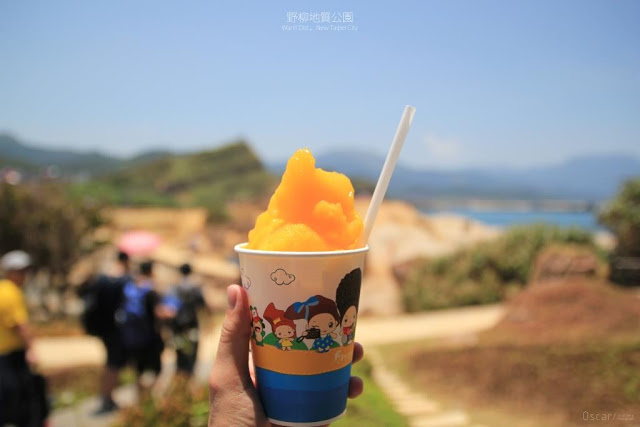 野柳地質公園-8