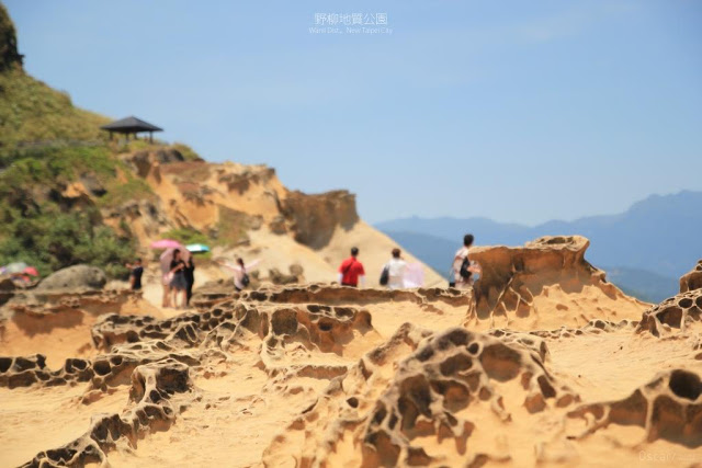 野柳地質公園-15