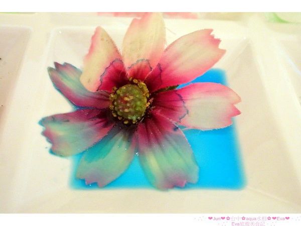 aqua水相法義料理(大遠百店)：【食記】oO。。台中　aqua水相法義料理　來這裡有美美的馬卡龍裝飾尬逼和愛麗絲夢遊仙境的下午茶陪伴大家～o○。