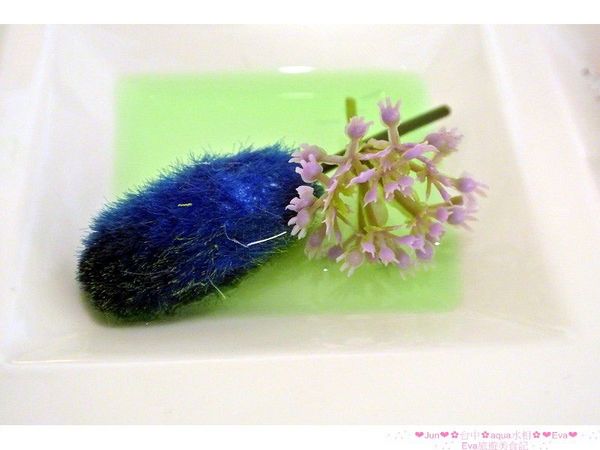 aqua水相法義料理(大遠百店)：【食記】oO。。台中　aqua水相法義料理　來這裡有美美的馬卡龍裝飾尬逼和愛麗絲夢遊仙境的下午茶陪伴大家～o○。