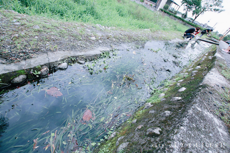 宜蘭 魚雅築親子民宿 溜滑梯親子民宿 魚窩B&B親子民宿包棟 魚雅築民宿評價 宜蘭民宿推薦 宜蘭親子民宿 宜蘭冬山民宿 哈旅行宜蘭包車旅遊74.jpg