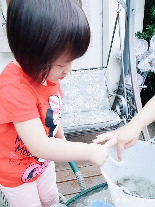 宜蘭 魚雅築親子民宿 溜滑梯親子民宿 魚窩B&B親子民宿包棟 魚雅築民宿評價 宜蘭民宿推薦 宜蘭親子民宿 宜蘭冬山民宿 哈旅行宜蘭包車旅遊88.jpg