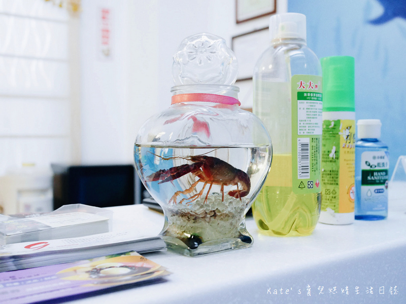 宜蘭 魚雅築親子民宿 溜滑梯親子民宿 魚窩B&B親子民宿包棟 魚雅築民宿評價 宜蘭民宿推薦 宜蘭親子民宿 宜蘭冬山民宿 哈旅行宜蘭包車旅遊47.jpg