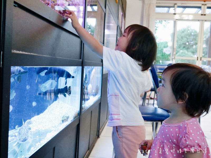 宜蘭 魚雅築親子民宿 溜滑梯親子民宿 魚窩B&B親子民宿包棟 魚雅築民宿評價 宜蘭民宿推薦 宜蘭親子民宿 宜蘭冬山民宿 哈旅行宜蘭包車旅遊51.jpg