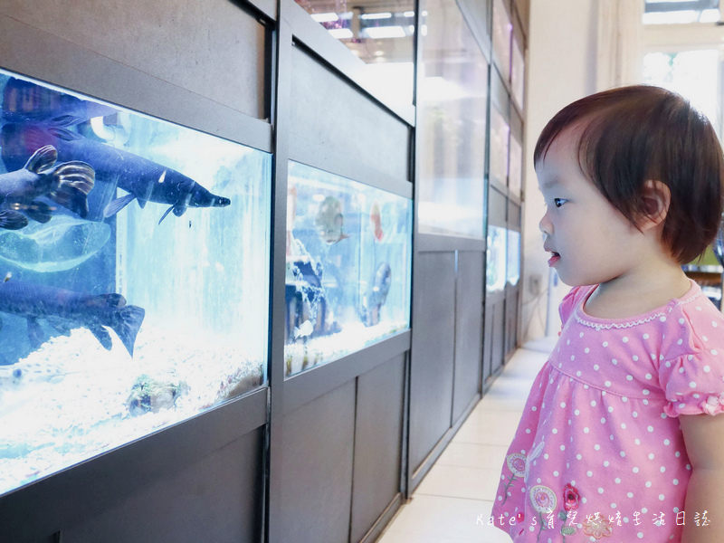 宜蘭 魚雅築親子民宿 溜滑梯親子民宿 魚窩B&B親子民宿包棟 魚雅築民宿評價 宜蘭民宿推薦 宜蘭親子民宿 宜蘭冬山民宿 哈旅行宜蘭包車旅遊46.jpg